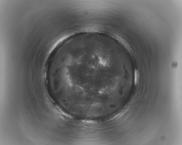 X0000091930723200709051501