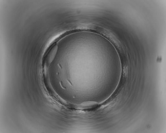 X0000091930724200709051501