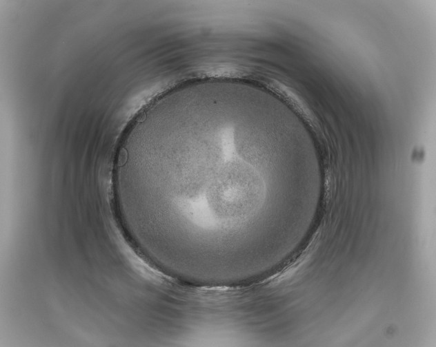X0000091930725200709051501