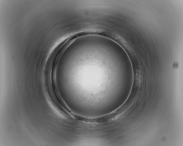 X0000091930726200709051501