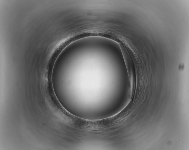 X0000091930727200709051501
