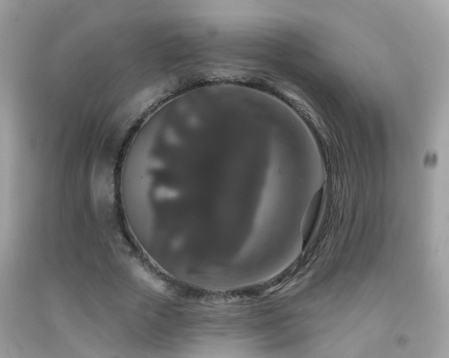 X0000091930729200709051501