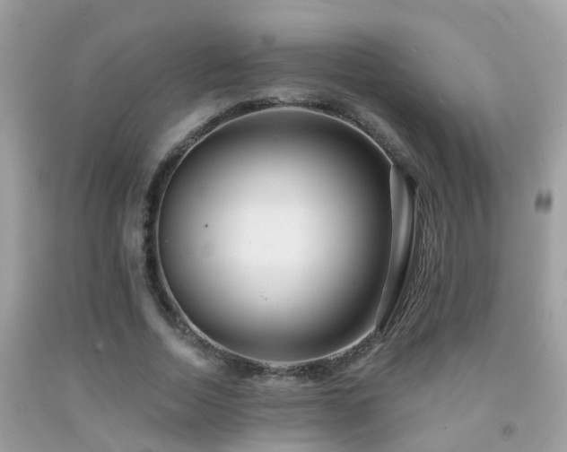 X0000091930730200709051501