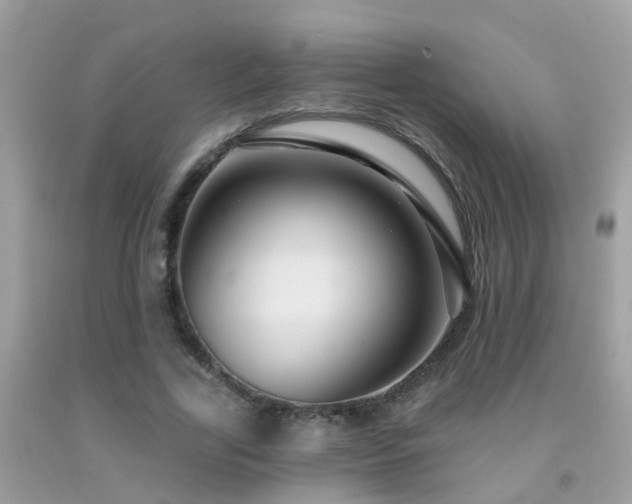 X0000091930731200709051501