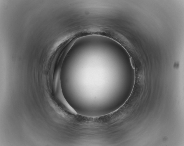 X0000091930732200709051501