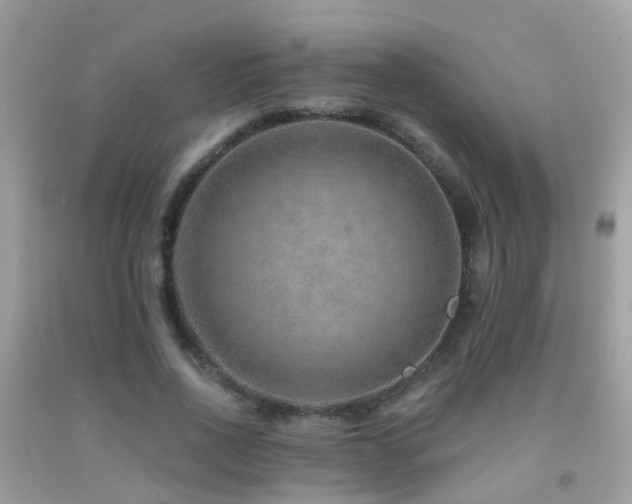 X0000091930734200709051501