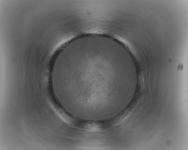 X0000091930735200709051501