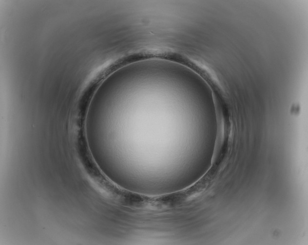 X0000091930736200709051501