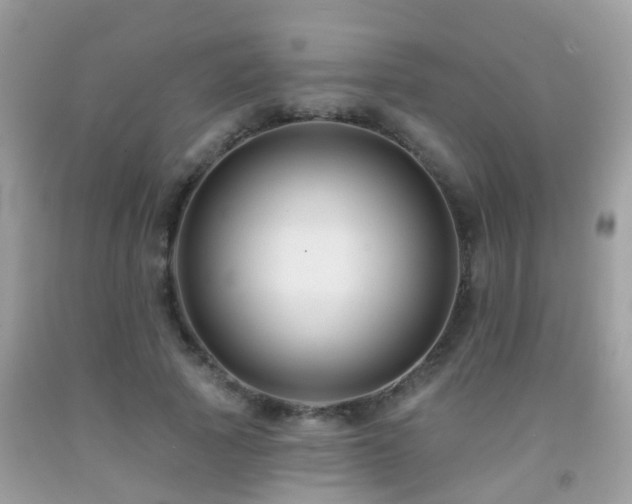 X0000091930737200709051501