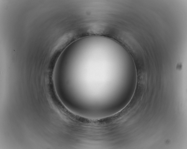 X0000091930738200709051501