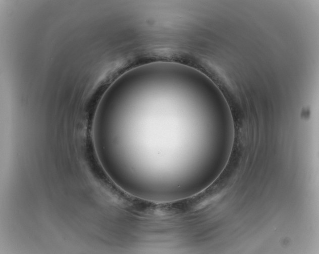 X0000091930739200709051501