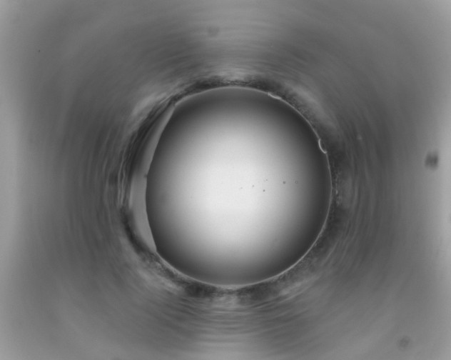 X0000091930740200709051501
