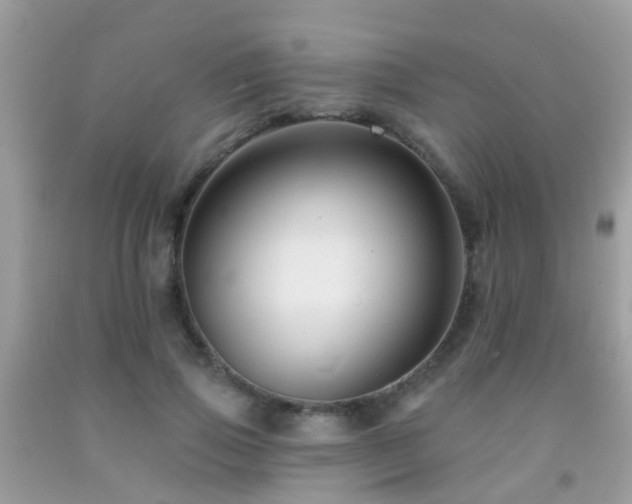 X0000091930741200709051501