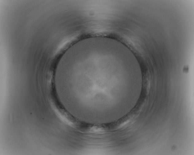 X0000091930742200709051501