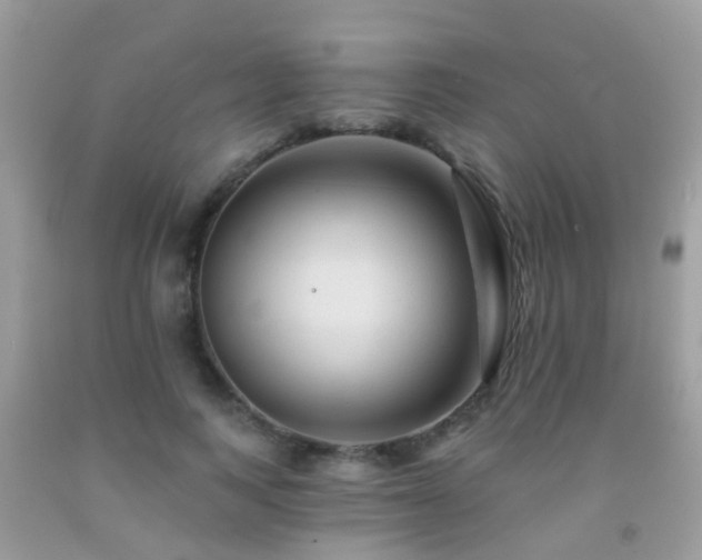 X0000091930743200709051501