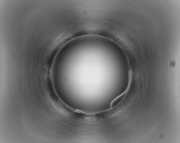 X0000091930744200709051501