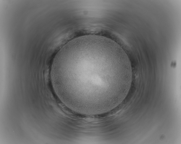 X0000091930745200709051501