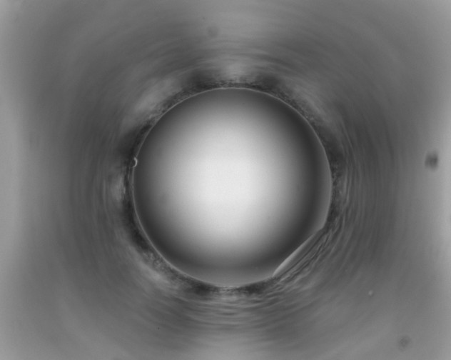 X0000091930746200709051501