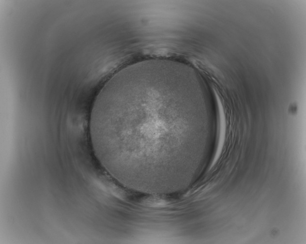 X0000091930747200709051501