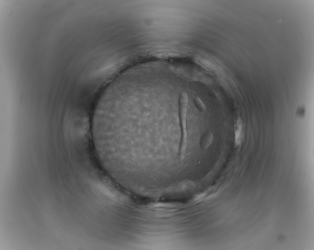 X0000091930748200709051501