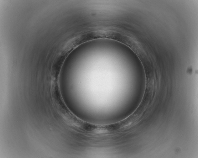 X0000091930749200709051501