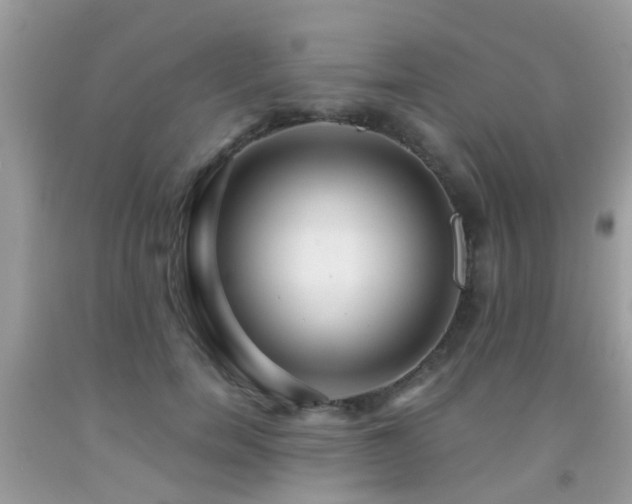 X0000091930750200709051501