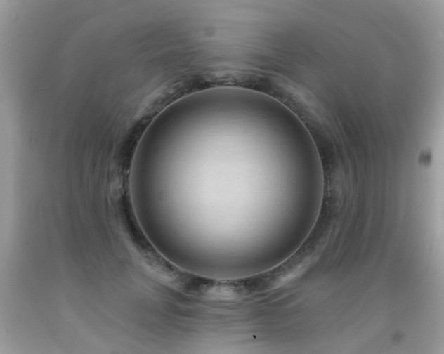 X0000091930751200709051501