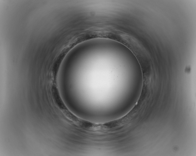 X0000091930752200709051501