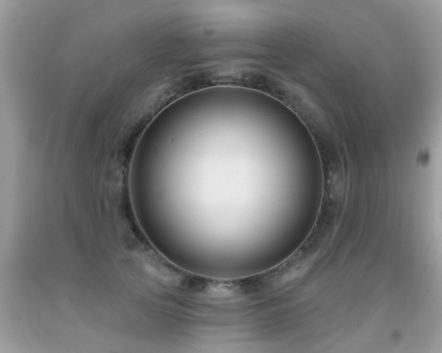 X0000091930753200709051501