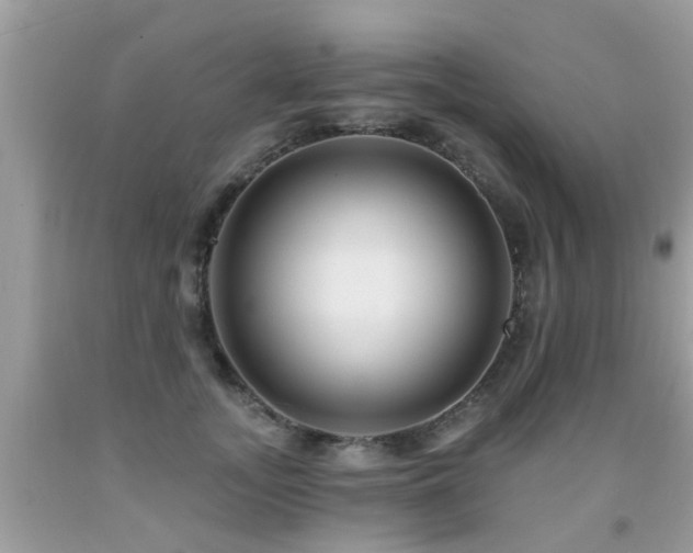 X0000091930755200709051501