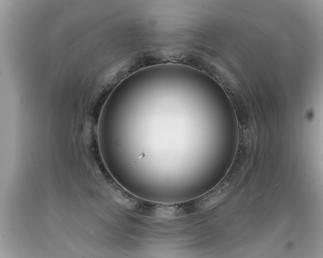 X0000091930757200709051501