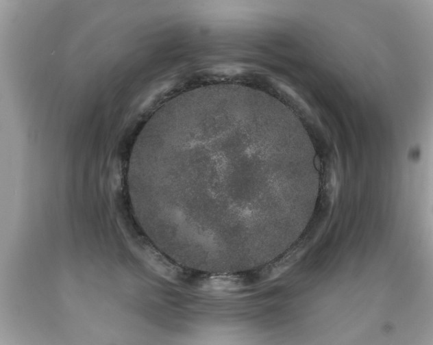 X0000091930758200709051501