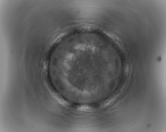 X0000091930759200709051501