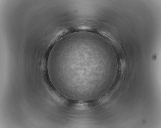 X0000091930760200709051501