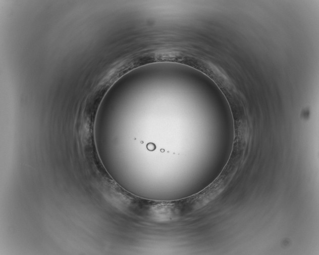 X0000091930761200709051501