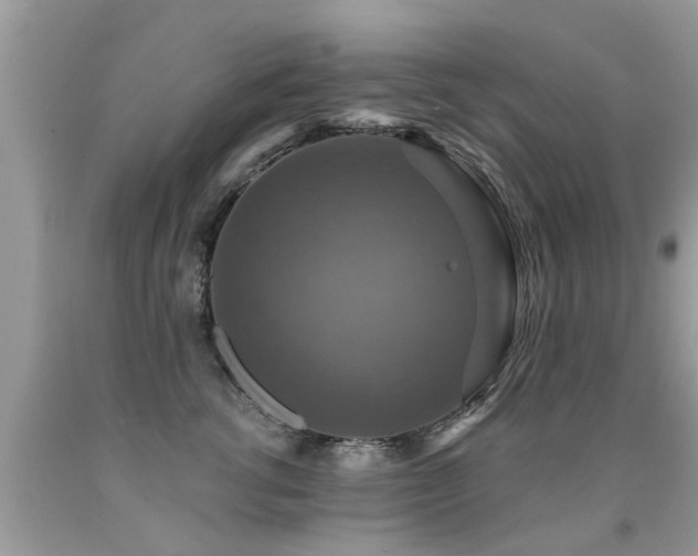 X0000091930762200709051501