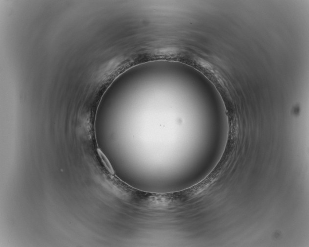 X0000091930764200709051501