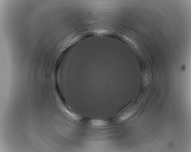 X0000091930766200709051501