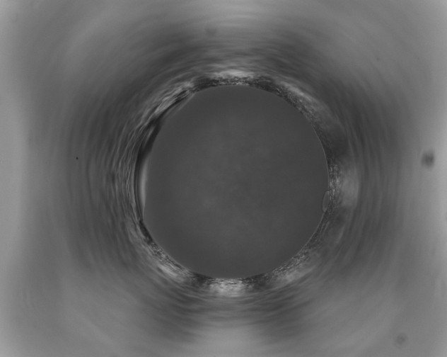 X0000091930767200709051501