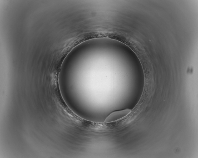 X0000091930768200709051501