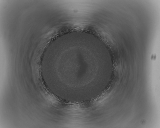 X0000091930769200709051501