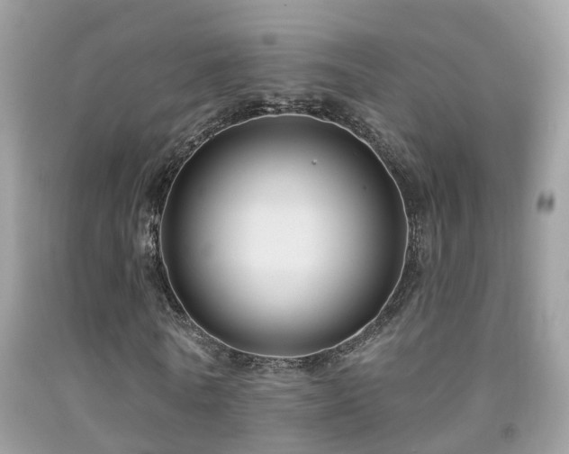 X0000091930770200709051501