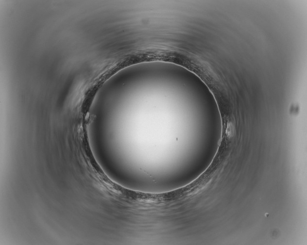 X0000091930771200709051501