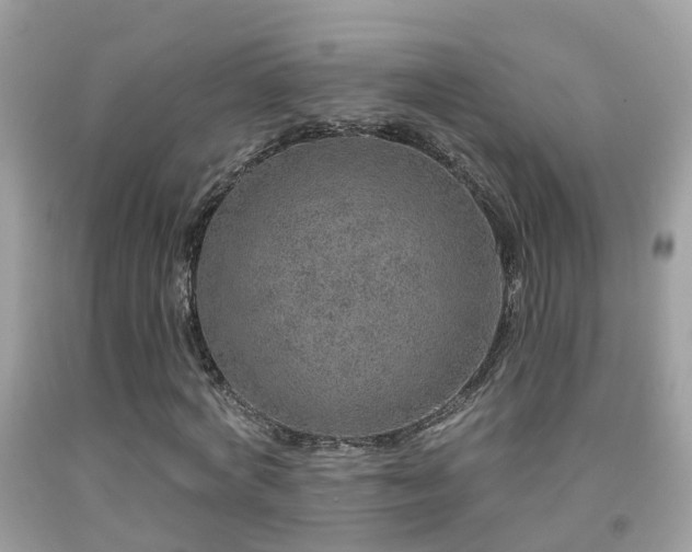 X0000091930772200709051501