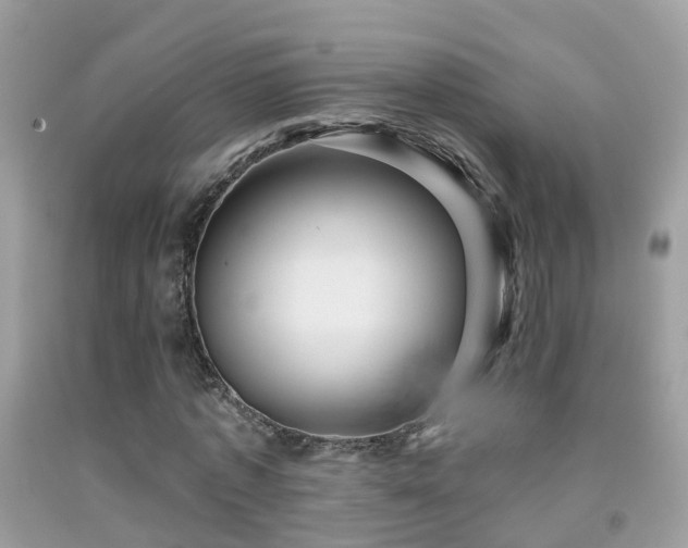 X0000091930773200709051501