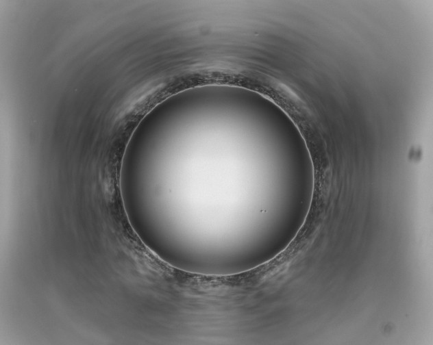 X0000091930774200709051501