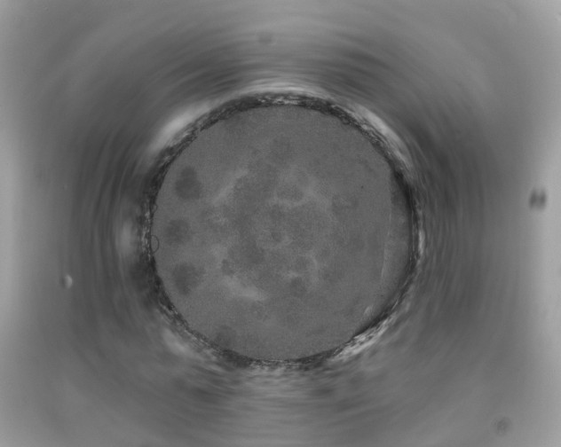 X0000091930775200709051501