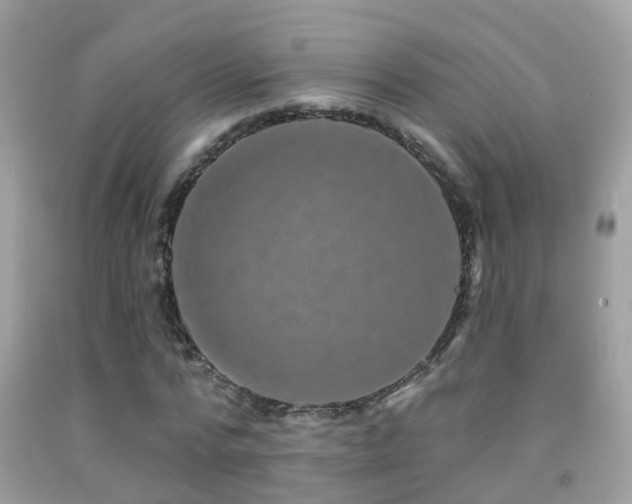 X0000091930776200709051500
