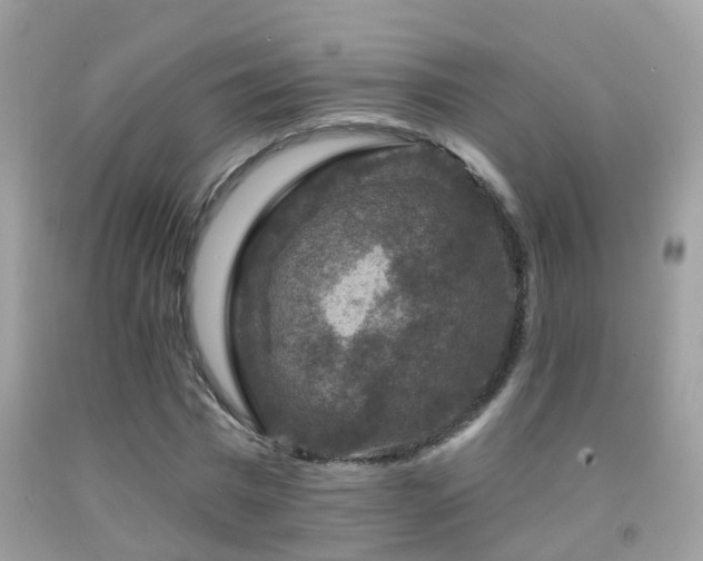 X0000091930777200709051500
