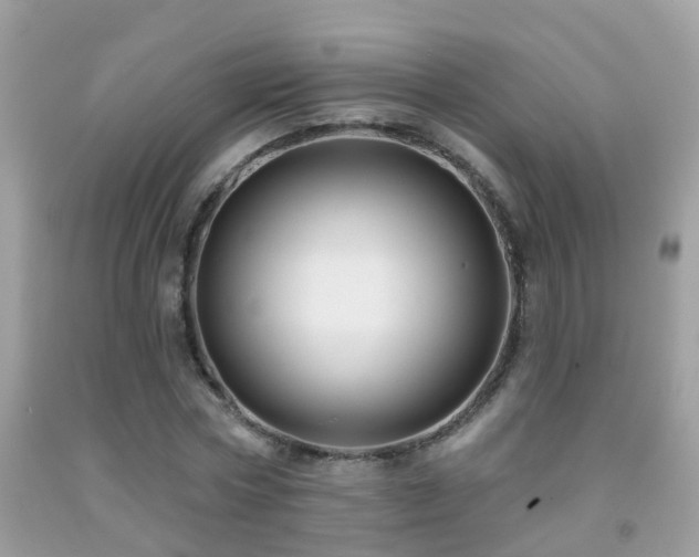 X0000091930778200709051500